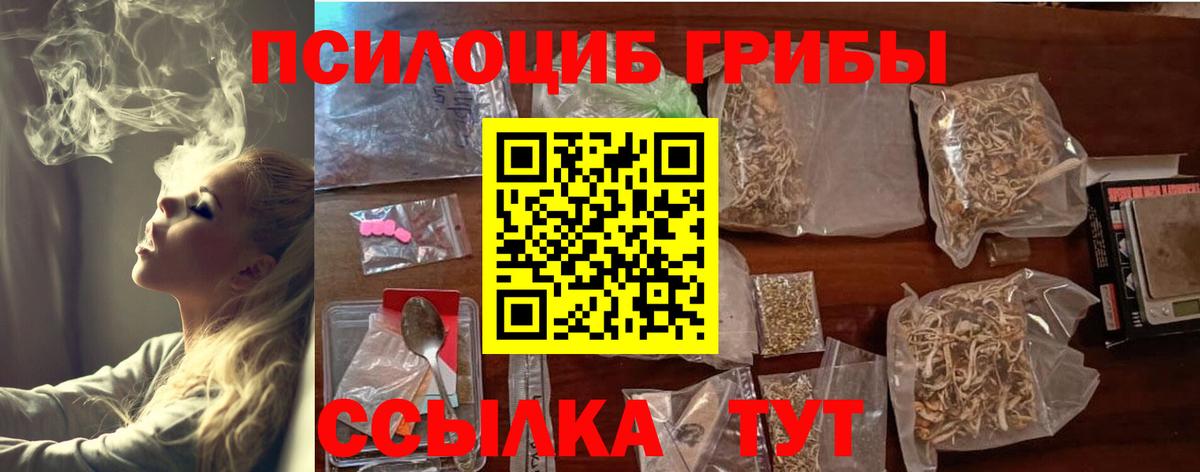 Галлюциногенные грибы Psilocybine cubensis Амурск
